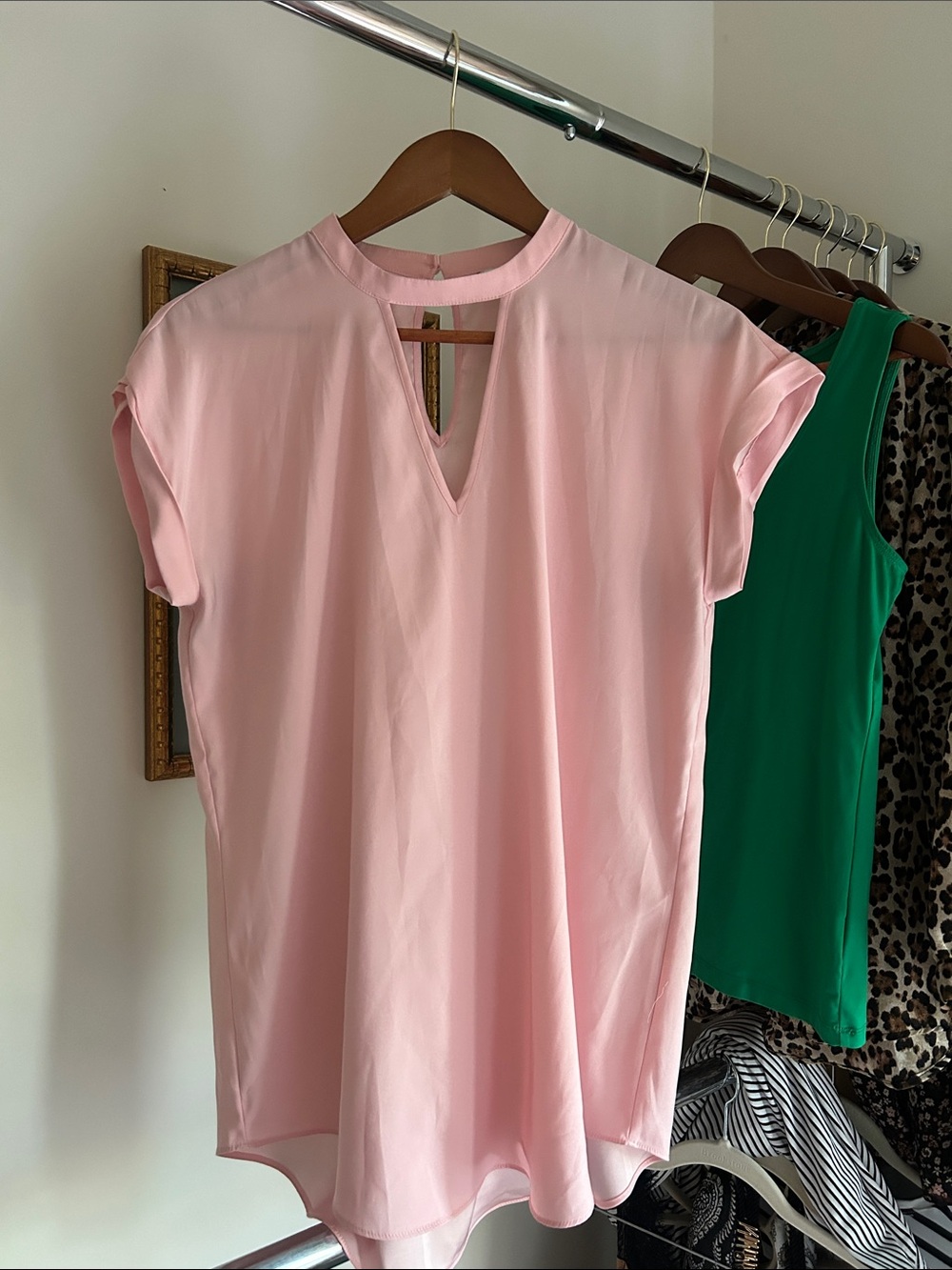 Express M Pale Pink v neck short sleeve solid Blouse